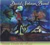 David Nelson Band, Visions Under the Moon